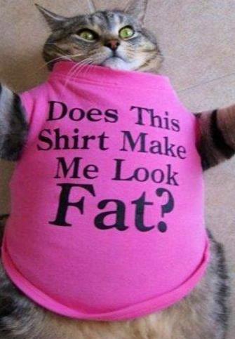 I wish I knew who to give credit to for this pic because I just LOVE it :)