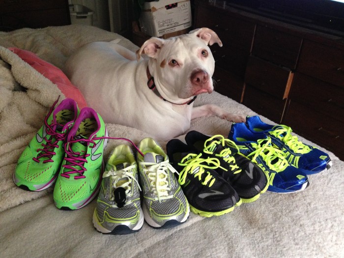 From left to right: Newton Fate, Ghost 6, PF 2, ST Racers