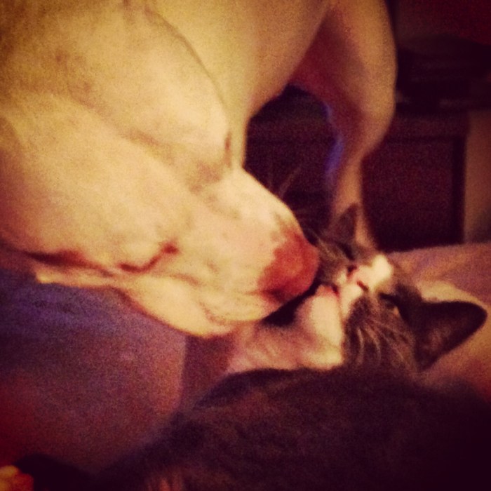 2015-01-23 18.25.03-2