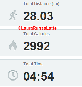 Run summary March 23-29, 2015-2