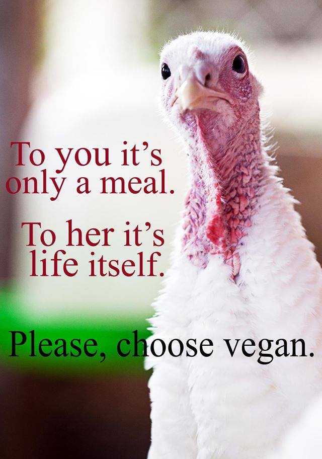 choosevegan